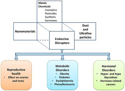 Role of Endocrine-Disrupting Engineered Nanomaterials in the Pathogenesis of Type 2 Diabetes Mellitus